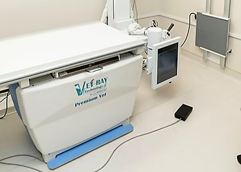 Mahalo Veterinary Hospital - Nanaimo, BC Veterinary Clinics - Treatment Room Image