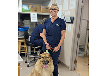 Welland veterinary clinic Main West Animal Hospital