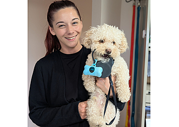 Welland veterinary clinic Main West Animal Hospital