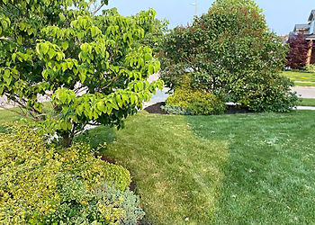 Guelph lawn care service Maintenance Moose