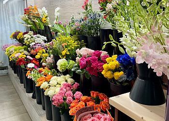 Saguenay Fleuristes Maison Marchand Fleuriste