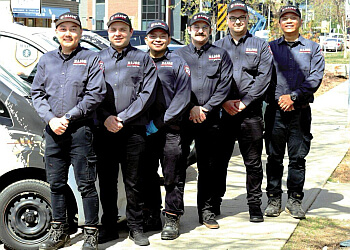 Red Deer pest control Major Pest Control Red Deer