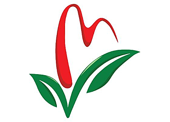 Vaughan acupuncture Maple Health & Wellness