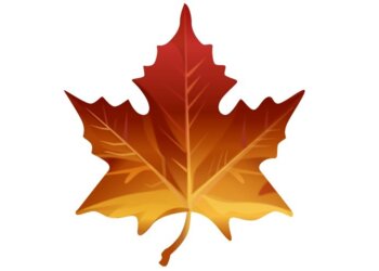 Maple Leaf Appliance Repair Maple Ridge Maple Ridge appliance repair service Maple Leaf Appliance Repair Maple Ridge