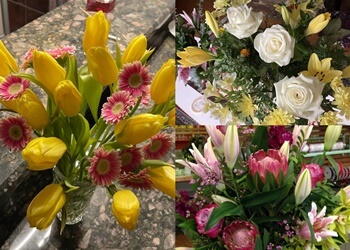 Maple Ridge florist Maple Ridge Florist Ltd.