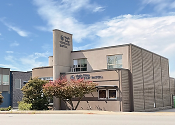 Maple Ridge Veterinary Hospital - Maple Ridge, BC Veterinary Clinics - Clinic Exterior Image