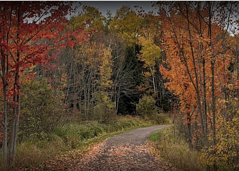 Moncton hiking trail Mapleton Park
