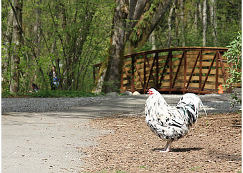 North Vancouver Attraction touristiques Maplewood Farm