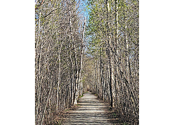 Sherbrooke hiking trail Marais de la Rivière aux Cerises