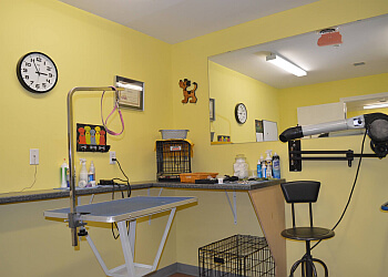 Stratford pet grooming Margo's Pet Grooming image 1