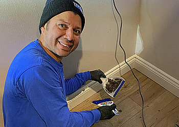 Kingston Services d'extermination de parasites Marin Pest Management, Inc.