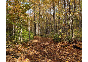 Peterborough hiking trail Mark S. Burnham Provincial Park