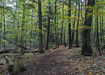 Peterborough hiking trail Mark S. Burnham Provincial Park image 1