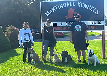 Martindale Kennels - St Catharines, ON Dresseurs De Chiens - Dog Training Class Image
