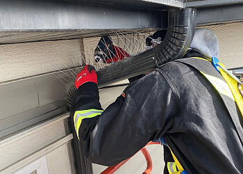 Airdrie pest control Martin's Pest Control, Inc.