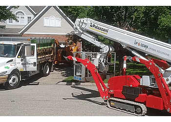 Waterloo Services d'arboriculteur Martin’s Tree Service Inc.