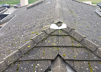Vancouver gutter cleaner Matt's Home Services
