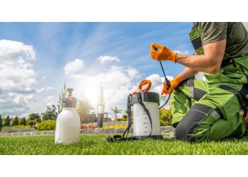 Edmonton Service D'Entretien De Pelouse Maxigreen Fertilizing Services Inc.