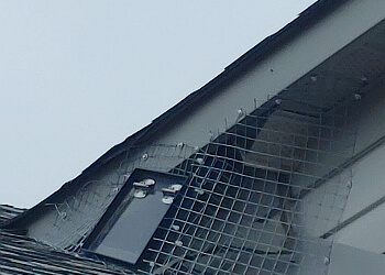 Oakville pest control Maximum Pest Control Services