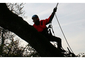 Mayday Tree Services - St Albert, AB Services d'arboriculteur - Tree Trimming Image