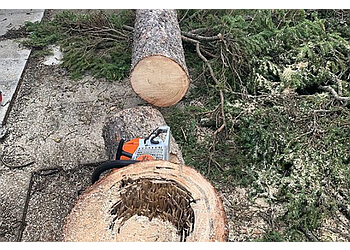 Mayday Tree Services - St Albert, AB Services d'arboriculteur - Tree Care Image
