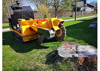 Saint Jerome tree service Maître Castor