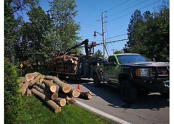 Saint Jerome tree service Maître Castor