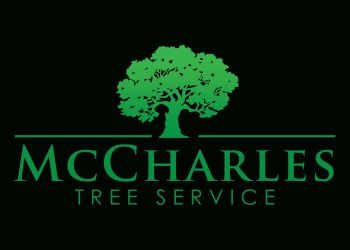 Red Deer tree service McCharles Tree Service