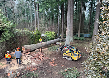 McConkey Arborist Services Ltd McConkey Arborist Services Ltd - Abbotsford, BC Tree Services - Outdoor Work Image