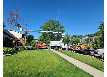 Burlington Services d'arboriculteur McFarlan Tree Care Inc.
