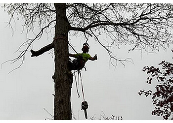 Windsor Services d'arboriculteur McGraw Tree Service