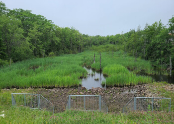 Halifax Sentiers De Randonnée McIntosh Run Community Trail