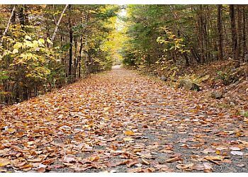 Halifax Sentiers De Randonnée McIntosh Run Community Trail