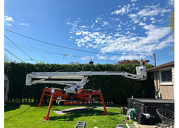 Kingston Services d'arboriculteur McLaren Tree Care