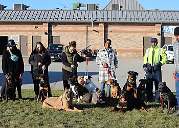 Ajax dog trainer McMillan Mastiffs image 1