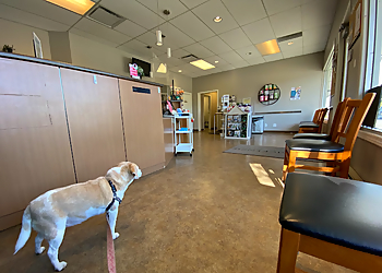 Victoria veterinary clinic Mckenzie Veterinary Services