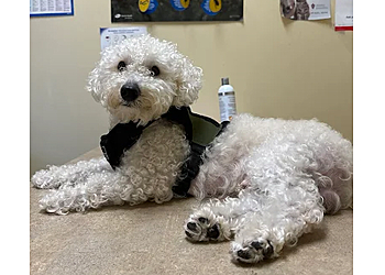 Brampton veterinary clinic Mcqueen Animal Hospital