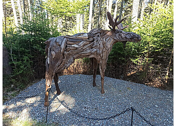 St Johns places to see Memorial University Botanical Garden