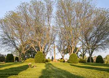 Waterloo funeral home Memory Gardens Funeral Home & Cemetery