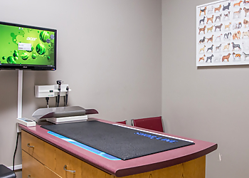 Menzies Pet Hospital - Chilliwack, BC Veterinary Clinics - Treatment Room Image