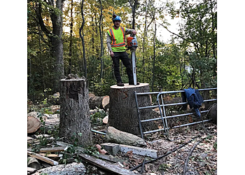 Sudbury Services d'arboriculteur Mercier's Tree Service