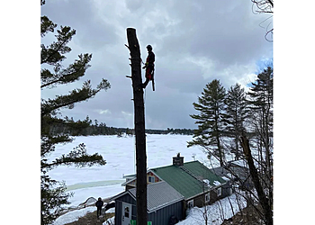 Sudbury Services d'arboriculteur Mercier's Tree Service