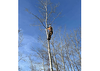 Sudbury Services d'arboriculteur Mercier's Tree Service
