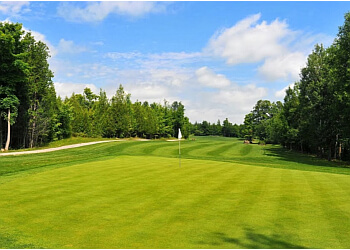 Ottawa golf course Metcalfe Golf Club image 1