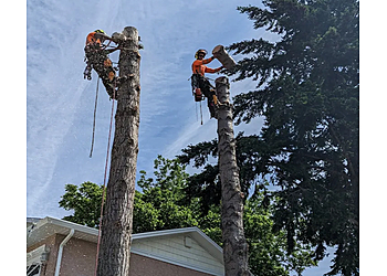 Kelowna tree service Microbe Tree Service