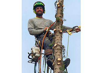 Regina Tree Services Mike & Matt's Tree Service Inc.