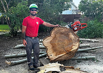 Regina Tree Services Mike & Matt's Tree Service Inc.