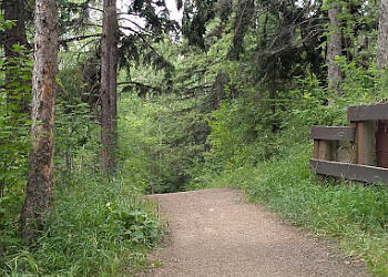Edmonton hiking trail Mill Creek Ravine Park