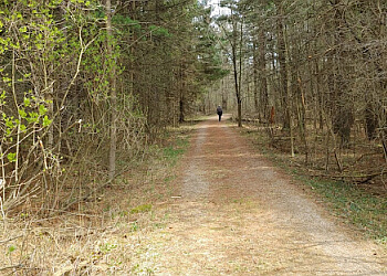 Cambridge Sentiers De Randonnée Mill Run Trail