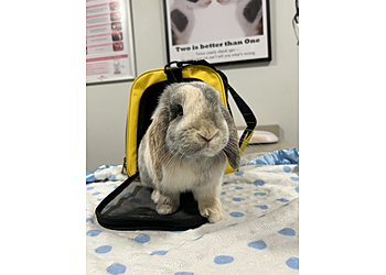 Pickering veterinary clinic Millennium City Veterinary Hospital